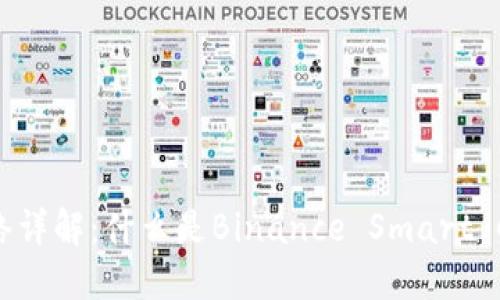 虚拟币BSC网络详解:什么是Binance Smart Chain及其优势