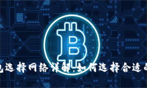 数字货币钱包选择网络详解:如何选择合适的区块链网络