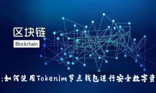 全攻略：如何使用Tokenim节点钱包进行安全数字资产管理