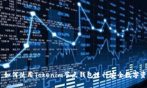 全攻略：如何使用Tokenim节点钱包进行安全数字资产管理
