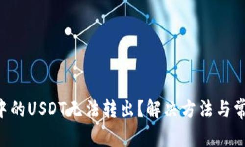 TRUST钱包中的USDT无法转出?解决方法与常见问题解析