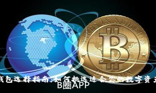 数字货币钱包选择指南:如何挑选适合你的数字资产管理工具