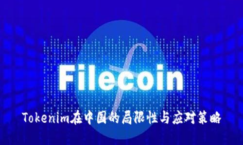 Tokenim在中国的局限性与应对策略