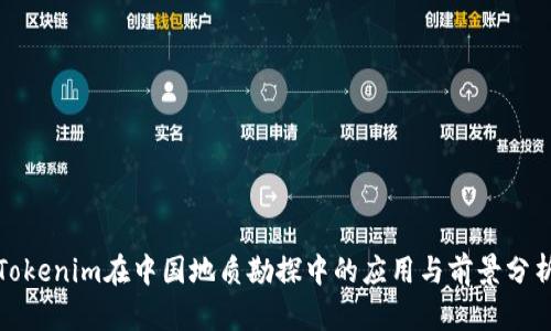 Tokenim在中国地质勘探中的应用与前景分析