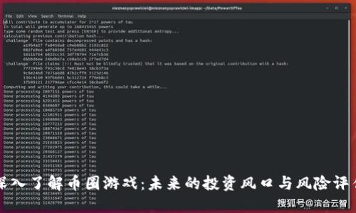 深入了解币圈游戏:未来的投资风口与风险评估