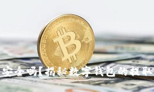 数字钱包安全吗?揭秘数字钱包的提取和安全性
