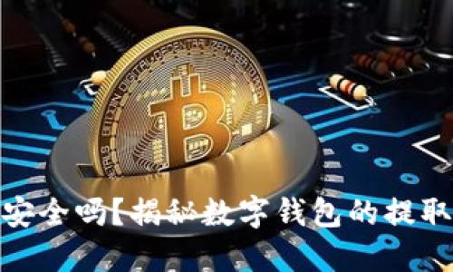 数字钱包安全吗?揭秘数字钱包的提取和安全性