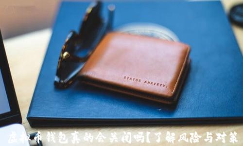 
虚拟币钱包真的会关闭吗？了解风险与对策