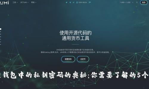 区块链钱包中的私钥密码的奥秘:你需要了解的5个关键点