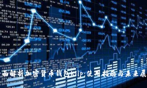 全面解析加密货币钱包Klip:使用指南与未来展望