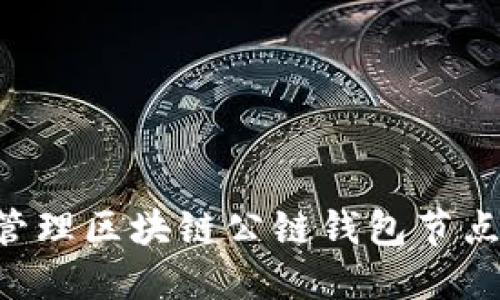如何选择和管理区块链公链钱包节点:全方位指南