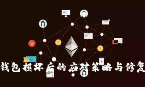 硬件钱包损坏后的应对策略与修复指南