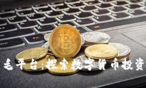 币圈薅羊毛平台:探索数字货币投资的新机遇