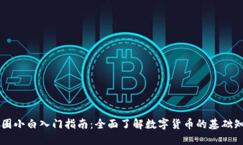 币圈小白入门指南:全面了解数字货币的基础知识