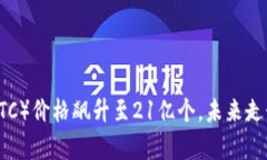 中本聪币（BTC）价格飙升