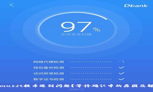 Tokenimusdt提币遇到问题？等待确认中的原因及解决方案
