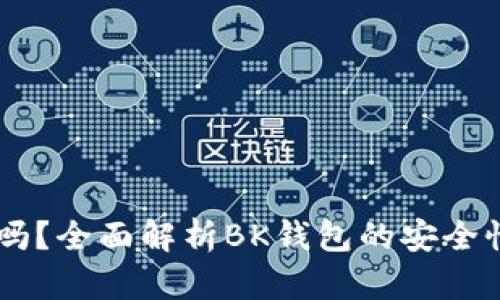 BK钱包安全吗?全面解析BK钱包的安全性与使用技巧