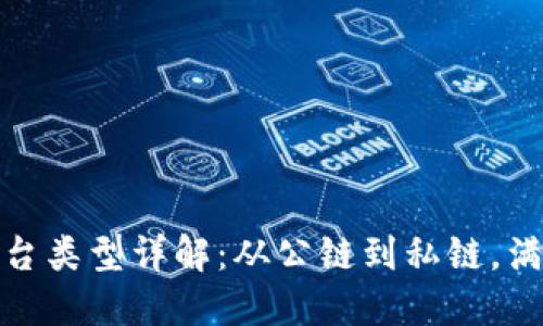 : 区块链平台类型详解:从公链到私链,满足各类需求