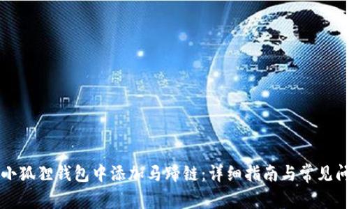 如何在小狐狸钱包中添加马蹄链:详细指南与常见问题解析
