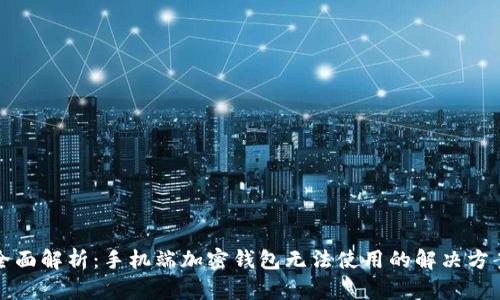 全面解析：手机端加密钱包无法使用的解决方案