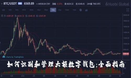 如何识别和管理大额数字钱包:全面指南