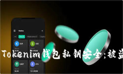 如何保护您的Tokenim钱包私钥安全:被盗后的应对措施