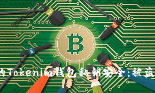 如何保护您的Tokenim钱包私钥安全:被盗后的应对措施