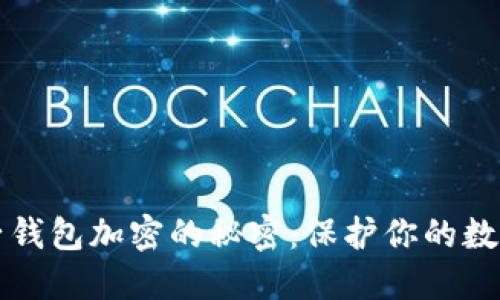 区块链电子钱包加密的秘密:保护你的数字资产安全