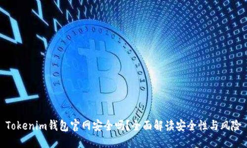 Tokenim钱包官网安全吗?全面解读安全性与风险