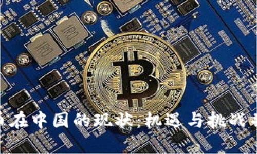 Pi币在中国的现状:机遇与挑战并存