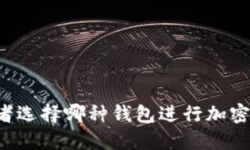 美国投资者选择哪种钱包进行加密货币投资？
