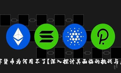 数字货币为何用不了?深入探讨其面临的挑战与未来