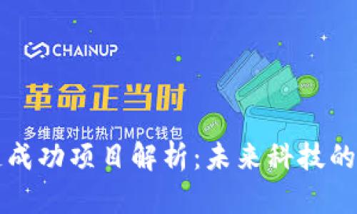 区块链成功项目解析：未来科技的领军者