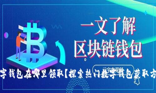数字钱包在哪里领取？探索热门数字钱包获取方式
