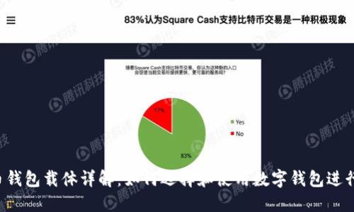  数字货币钱包载体详解：如何选择和使用数字钱包进行安全交易