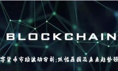 数字货币市场波动分析：