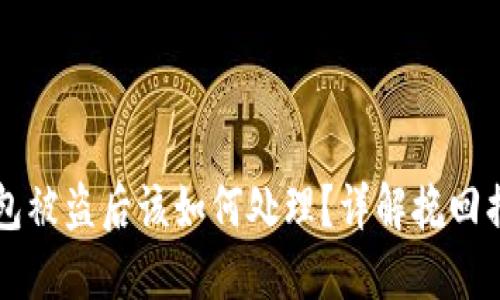 比特派钱包被盗后该如何处理?详解挽回损失的方法