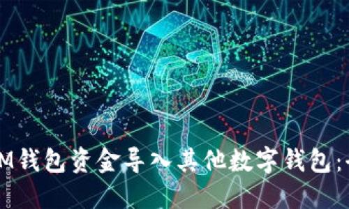 如何将IM钱包资金导入其他数字钱包:全面指南