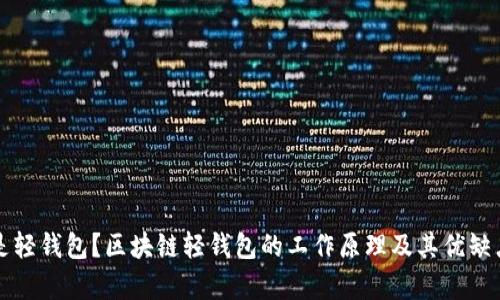什么是轻钱包？区块链轻钱包的工作原理及其优缺点解析