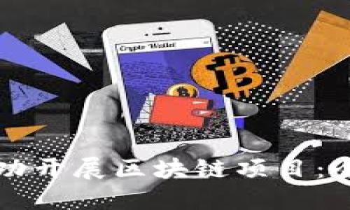 如何成功开展区块链项目:全面指南