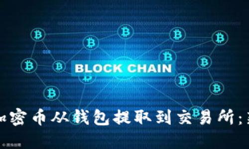 如何将加密币从钱包提取到交易所:新手指南