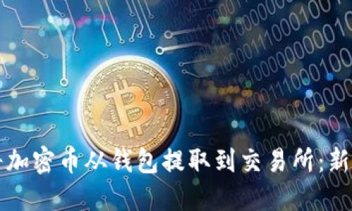 如何将加密币从钱包提取到交易所:新手指南
