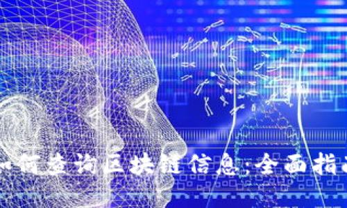 如何查询区块链信息:全面指南