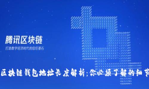 区块链钱包地址长度解析:你必须了解的细节