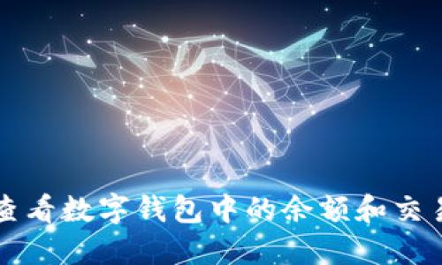 如何查看数字钱包中的余额和交易记录