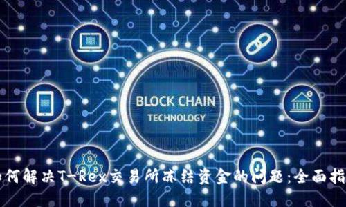 如何解决T-Rex交易所冻结资金的问题:全面指南