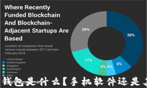 数字货币钱包是什么?手机软件还是其他形式?