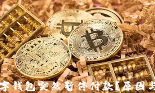为什么我的数字钱包突然暂停付款?原因与解决方案详解