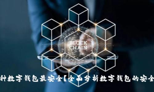哪种数字钱包最安全?全面分析数字钱包的安全性