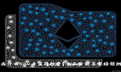 为什么BHD币值得投资?全面分析与市场预测